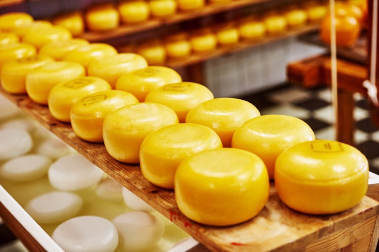 Holandské sýry v místní sýrárně