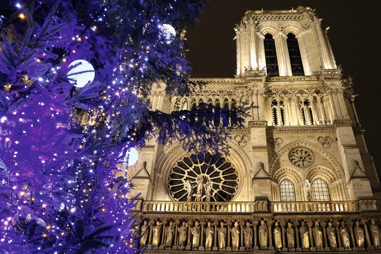 Poznávací zájezd do Paříže - Vánoční strom před Notre Dame