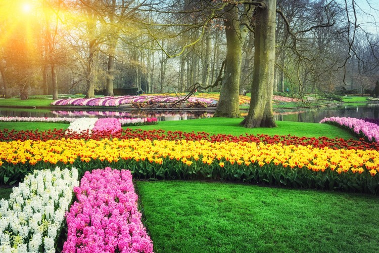 Poznávací zájezd do Holandska - Květinové zahrady v Keukenhofu