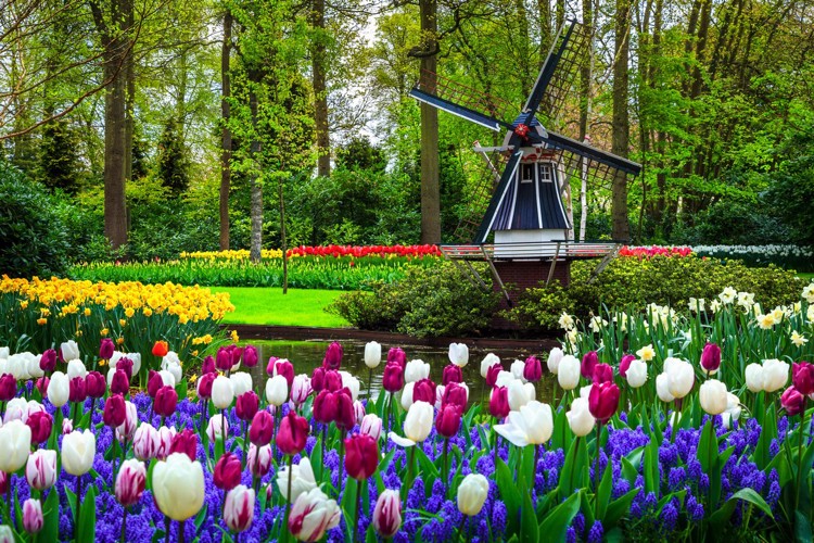 Poznávací zájezd do Holandska - Květinové zahrady v Keukenhofu