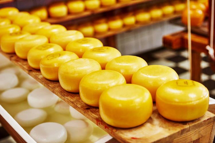Výroba holandských sýrů