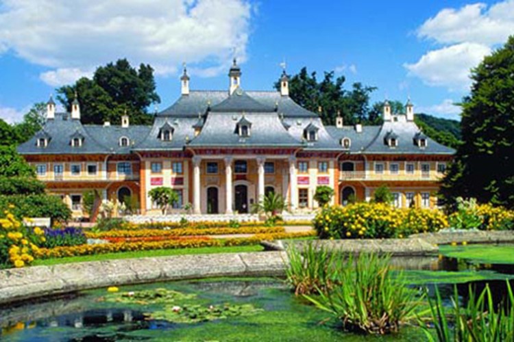 Poznávací zájezd do Saska: kvetoucí kamélie na zámku PIllnitz