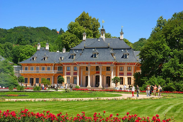 kvetoucí kamélie na zámku PIllnitz: zámek Pillnitz