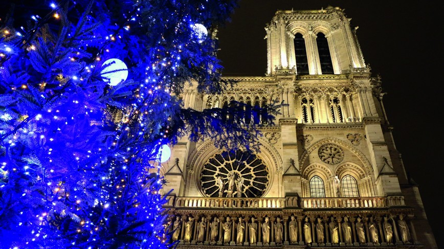 Poznávací zájezd do Paříže - Vánoční strom před Notre Dame