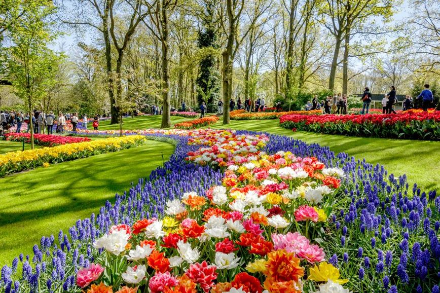 Poznávací zájezd do Nizozemska - květinový park Keukenhof