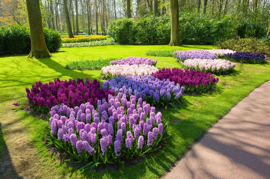Poznávací zájezd do Holandska - květinový park Keukenhof