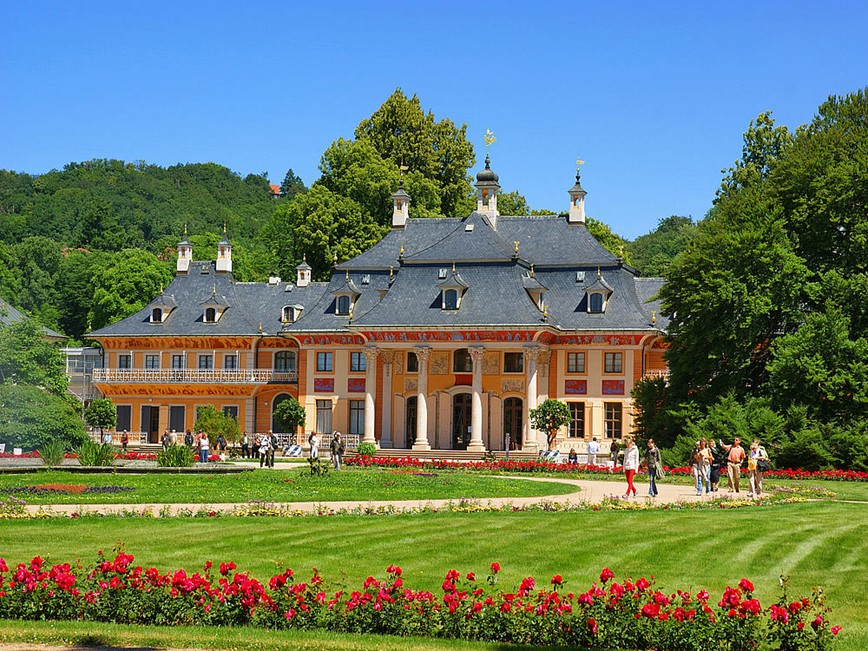 kvetoucí kamélie na zámku PIllnitz: zámek Pillnitz