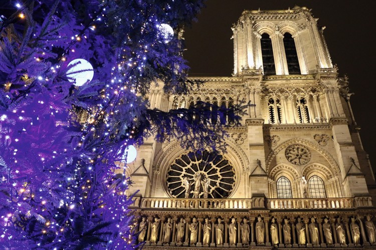 Poznávací zájezd do Paříže na Silvestra  - Vánoční strom před Notre Dame