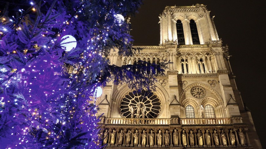 Poznávací zájezd do Paříže na Silvestra  - Vánoční strom před Notre Dame